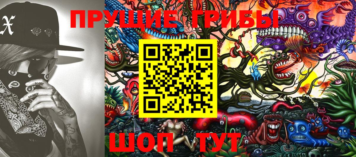 Псилоцибиновые грибы Psilocybe  Вход с VPN  Кизилюрт 