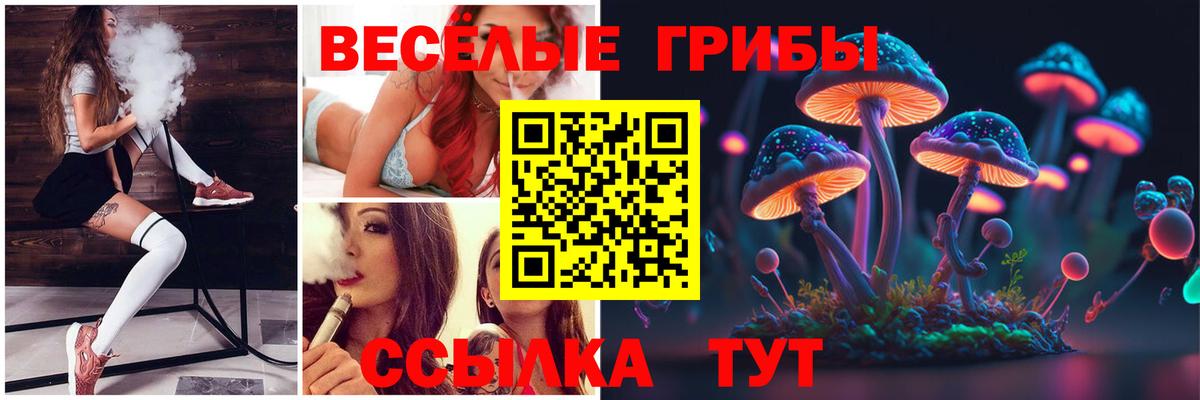 Псилоцибиновые грибы MAGIC MUSHROOMS Кизилюрт